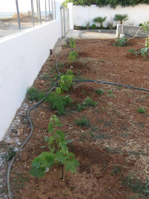 Teo 1 Apartment Gouves Exterior foto